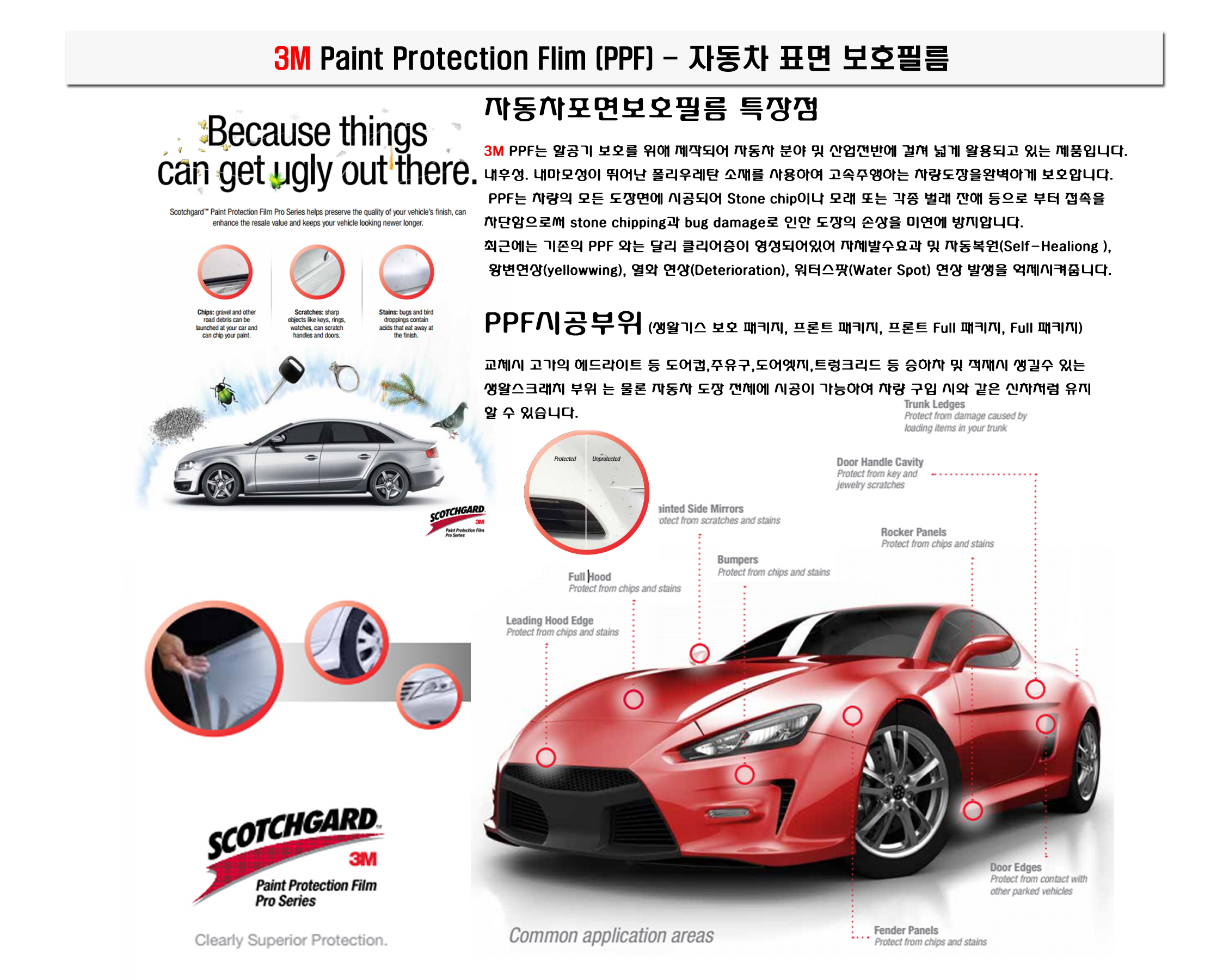 2015 년 PPF .jpg